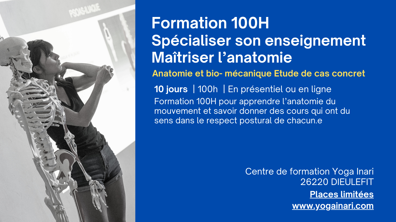 Formation 100H Anatomie et Yoga